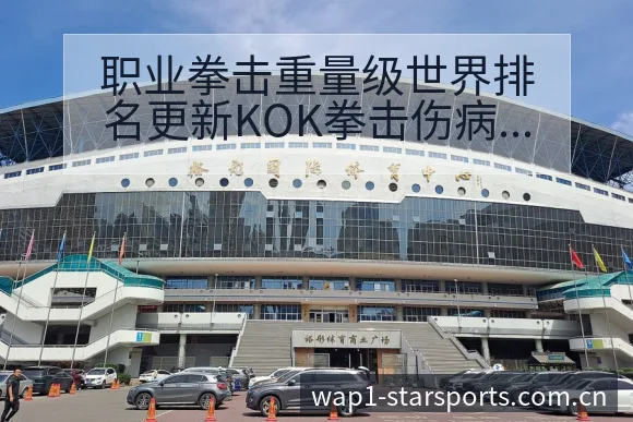 职业拳击重量级世界排名更新KOK拳击伤病恢复对赛程影响阵 - 星空官网